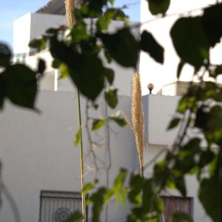 Residence Sterne Hammam al Ghazzaz Zewnętrze zdjęcie