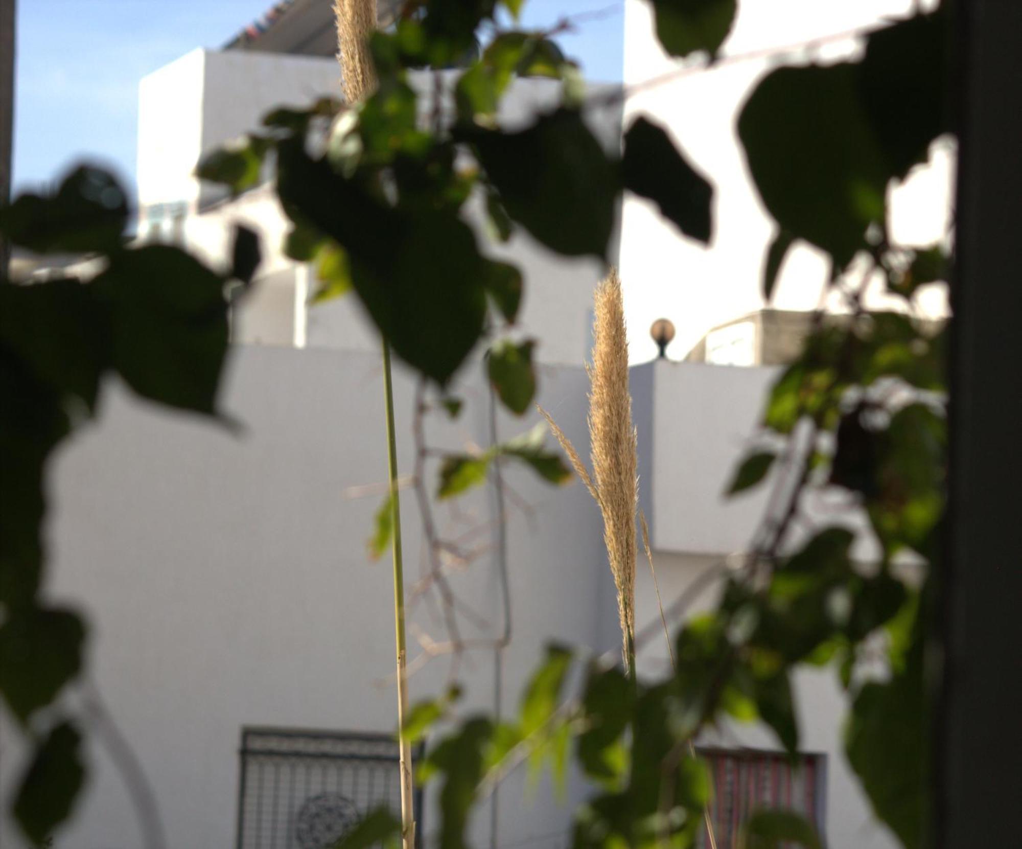 Residence Sterne Hammam al Ghazzaz Zewnętrze zdjęcie